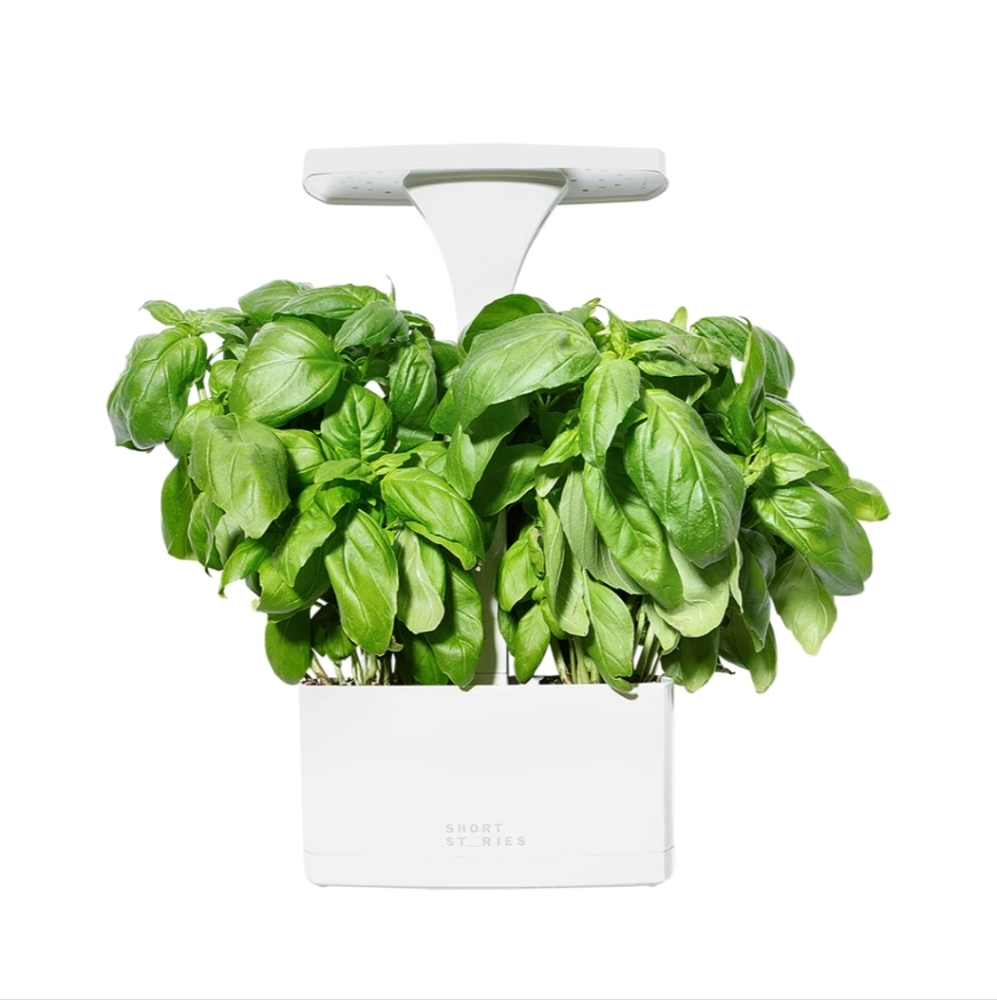 LED Planter
